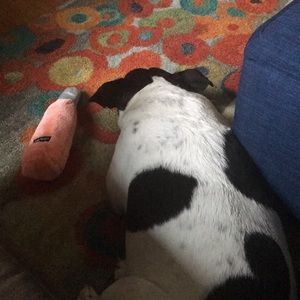 Meet your Posher, Marin